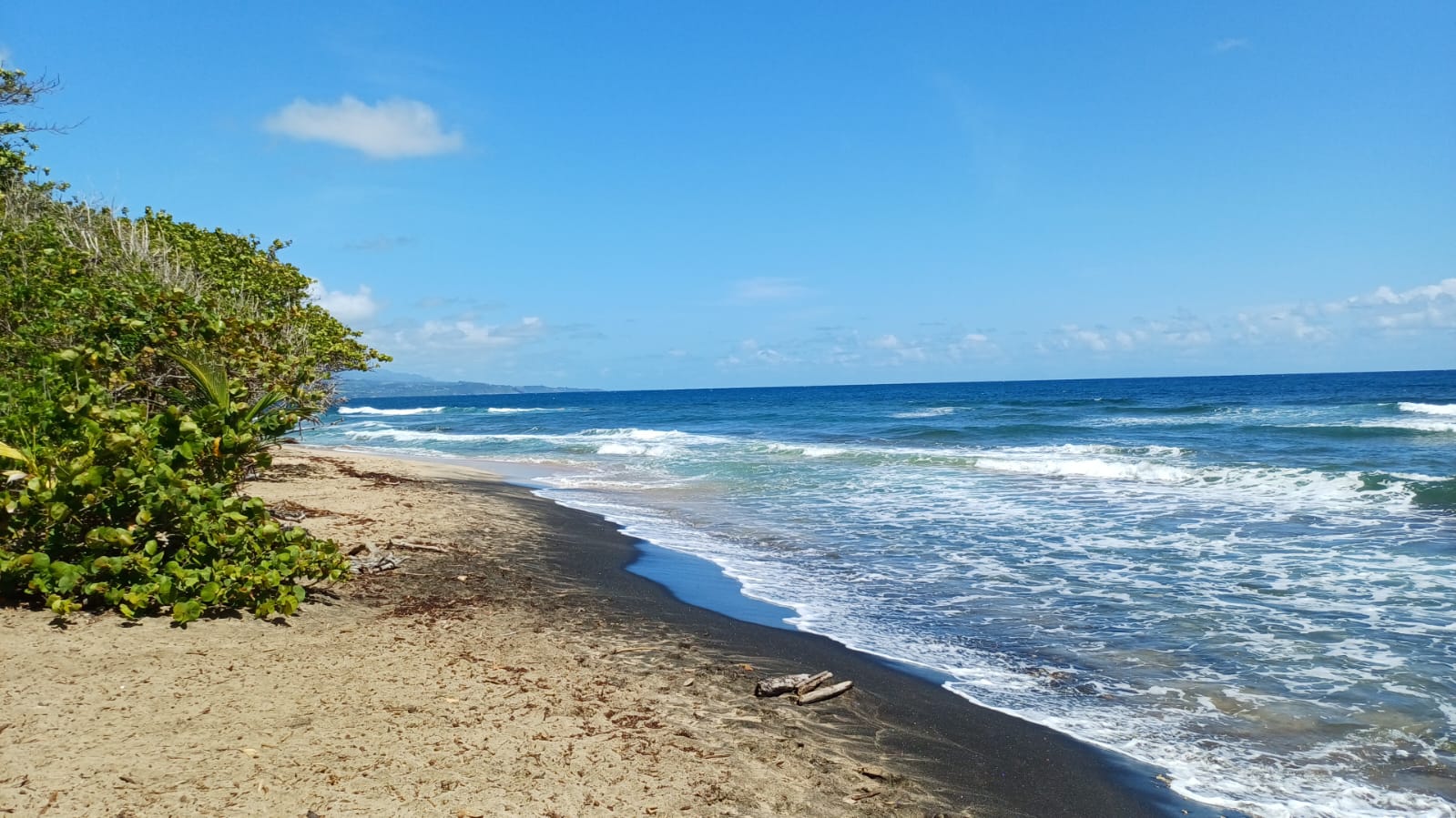 Plage des Surfeurs à Tartane, vagues régulières.
